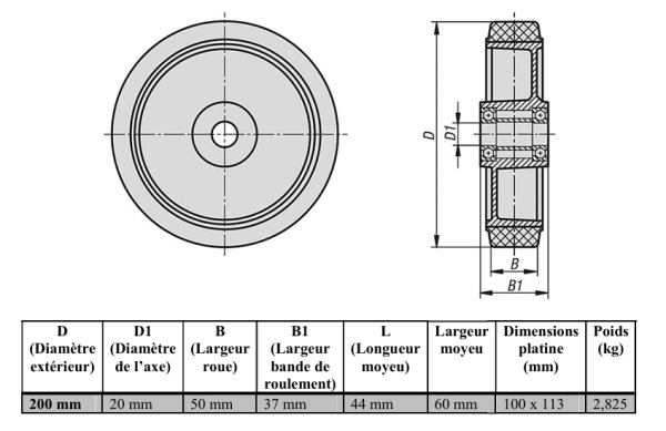 Roue pivotante à plaque 200 mm 450 kg RF 494 – Image 2